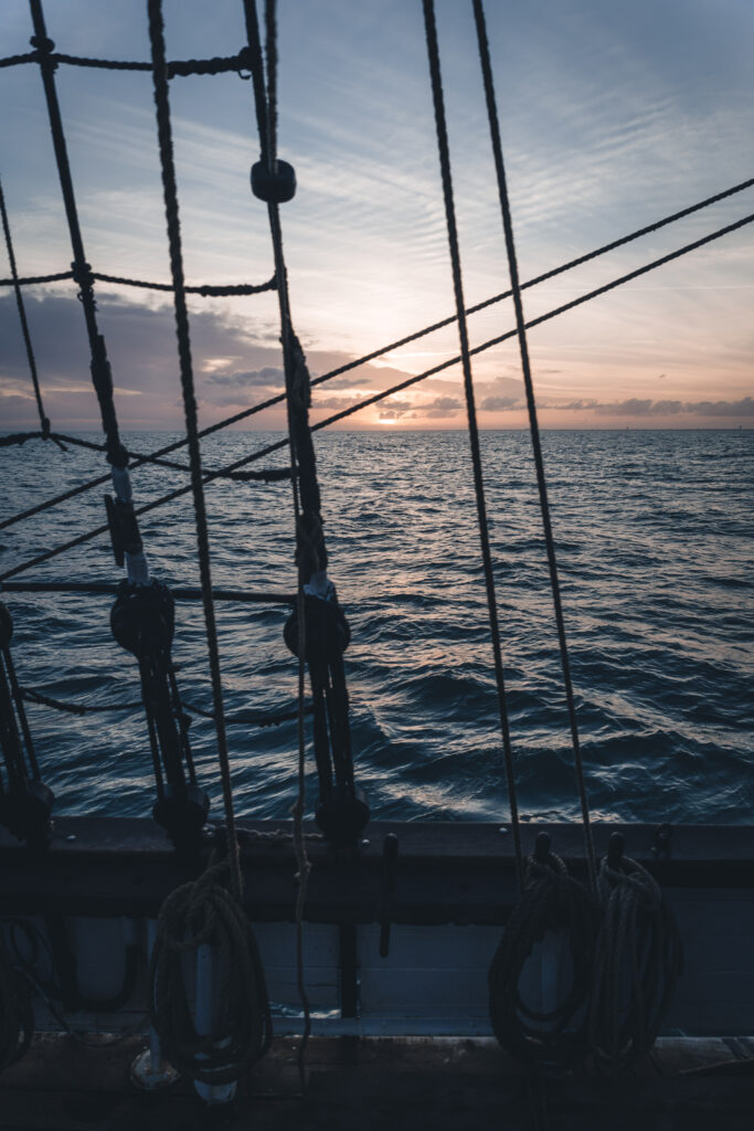 A Whale of A Day - Blog written by Giulia Cookie Tres Hombres